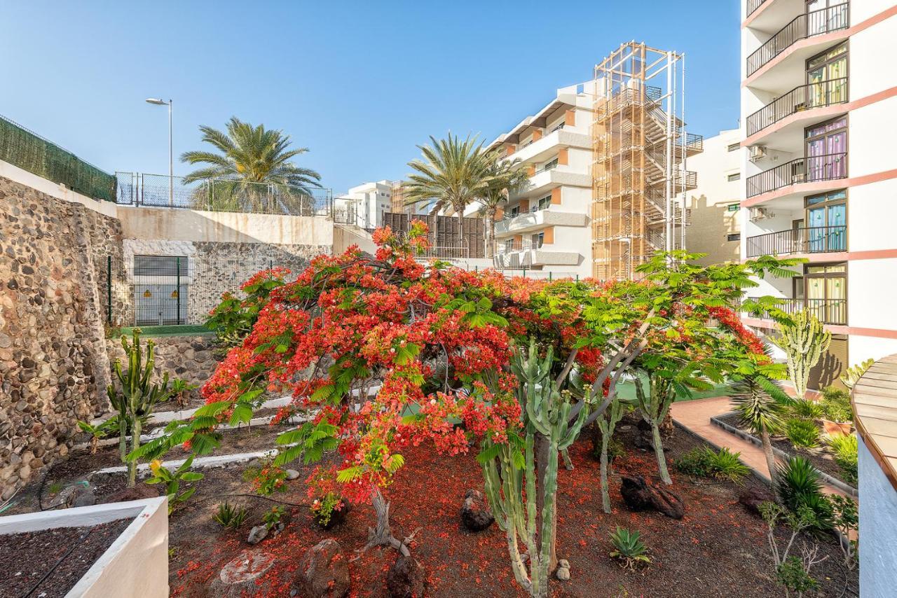 Pulpo Amarillo Lägenhet Playa del Inglés Exteriör bild